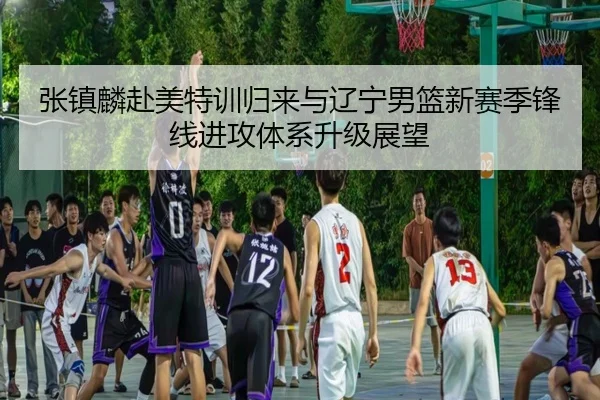 zhang-zhen-lin-fu-mei-te-xun-gui-lai-yu-liao-ning-nan-lan-xin-sai-ji-feng-xian-jin-gong-ti-xi-sheng-ji-zhan-wang-3-626.jpg